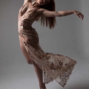 Beautiful Sheer Sequined Dress